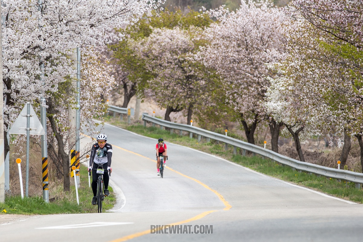 news_tour_de_yangpyeong_20.jpg